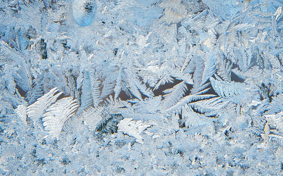 frost-unsplash