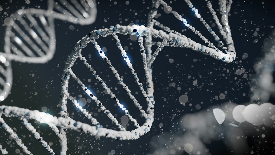 genetics-unsplash