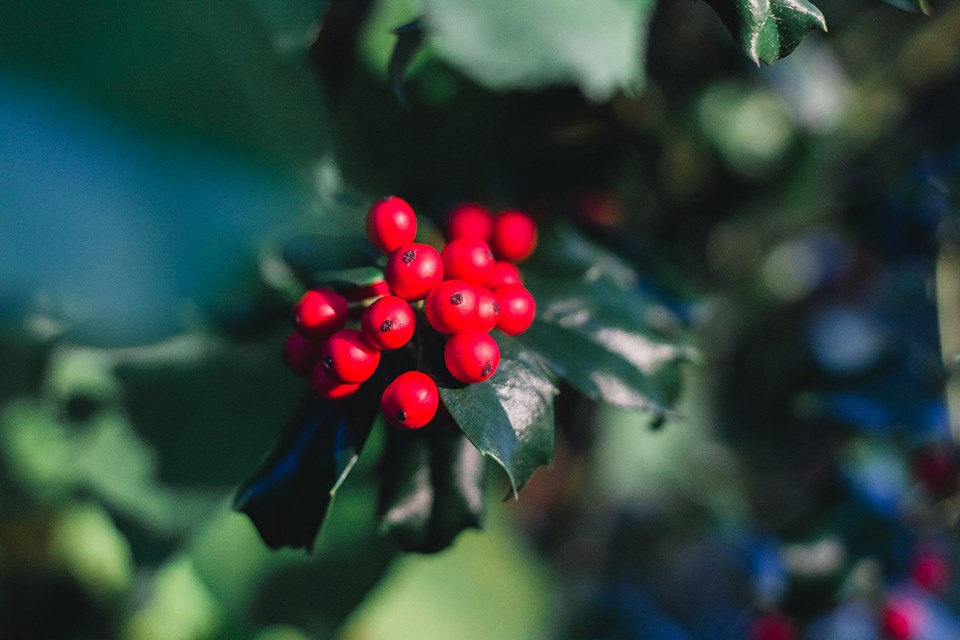 holly-unsplash