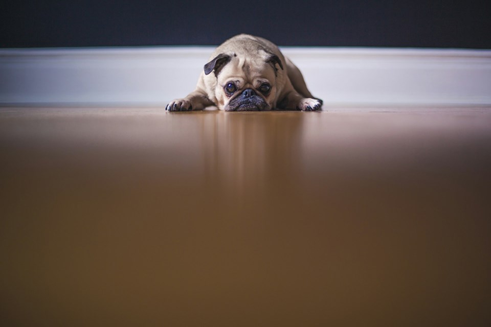 sad-unsplash