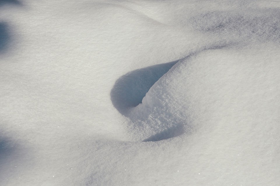 snowbank-unsplash