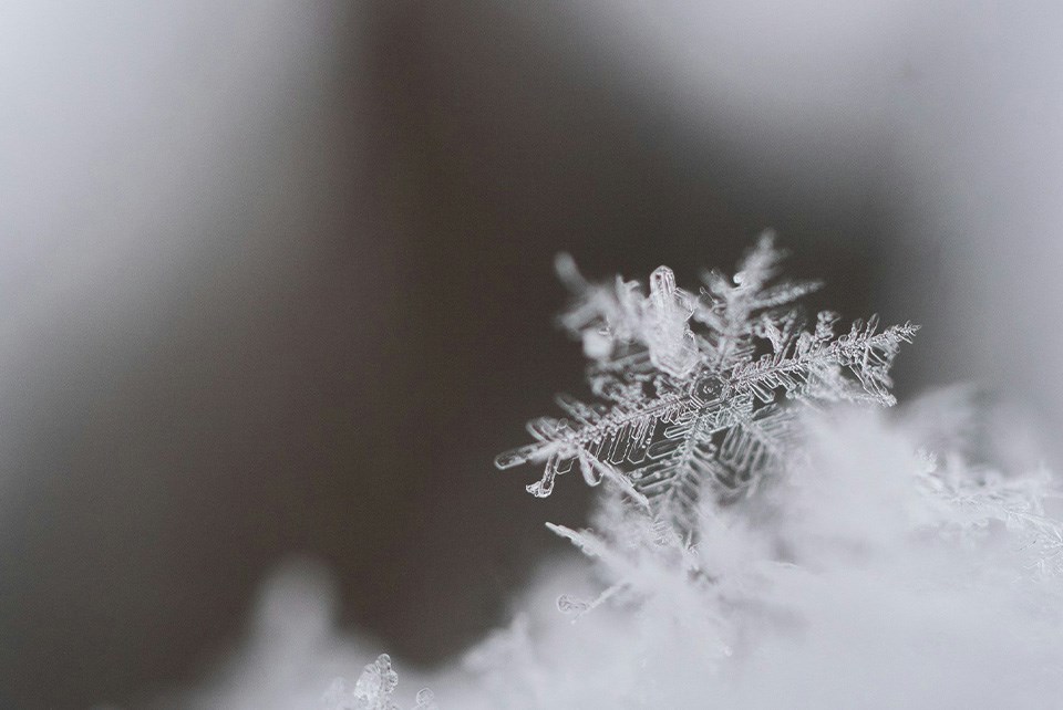 snowflake-unsplash