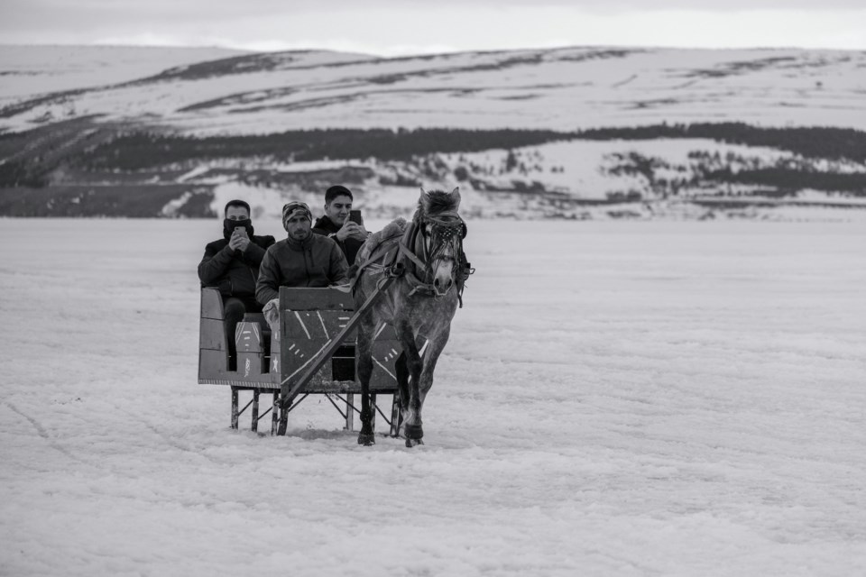 sleigh-and-horses