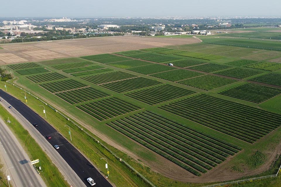 USask crop research projects receive lion’s share of ADF funding