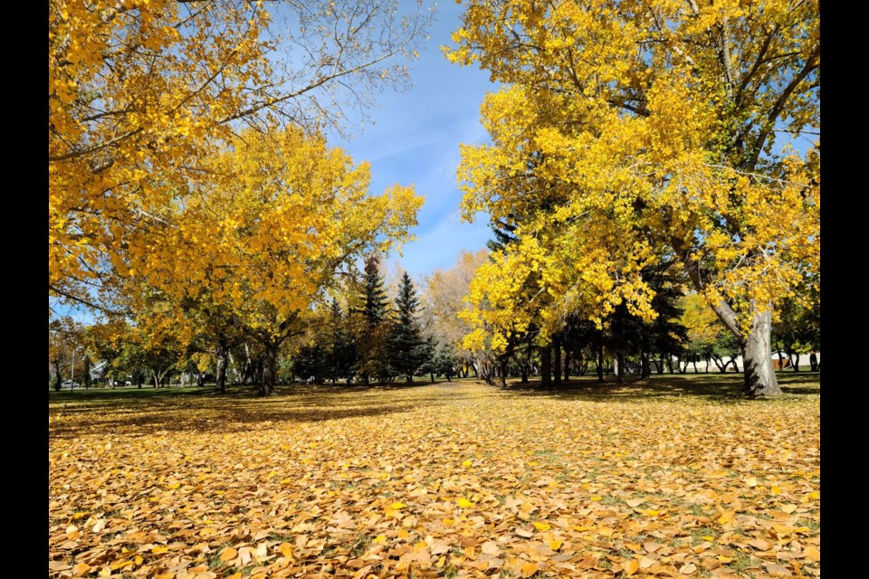 Is sweater weather and pumpkin spice season soon upon us?