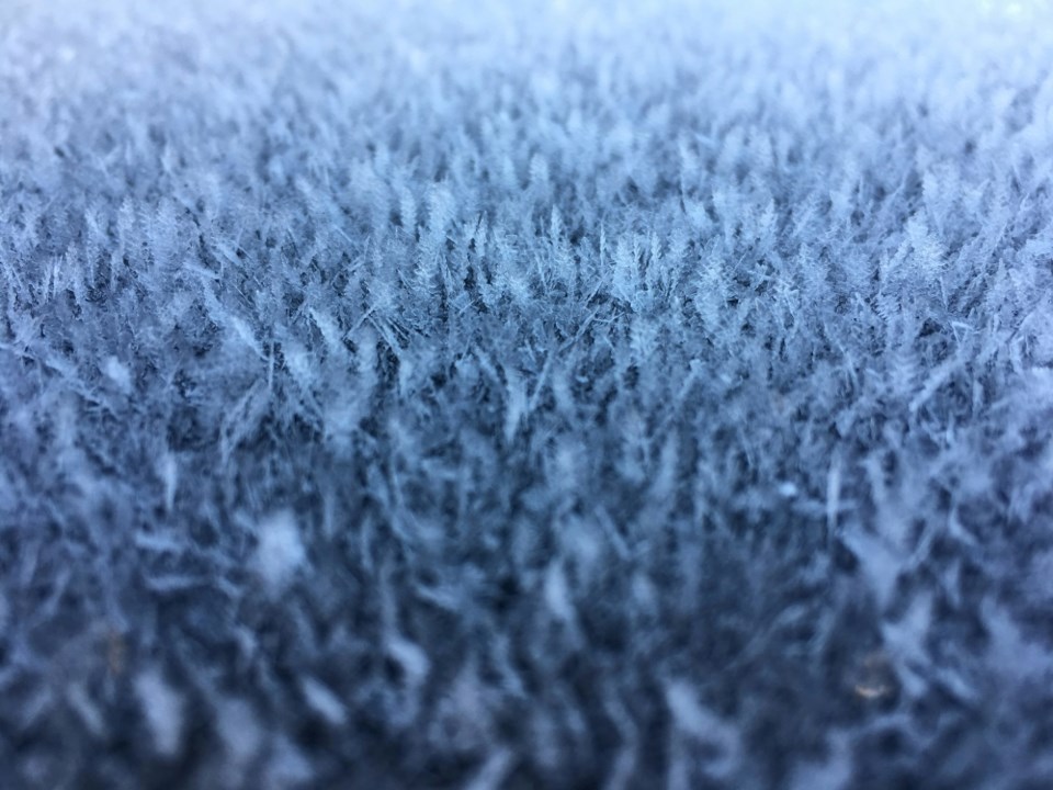 frost-warning-unsplash