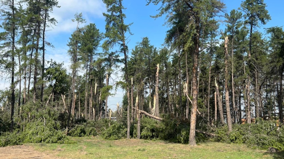 nipawin-central-park-july-1-storm