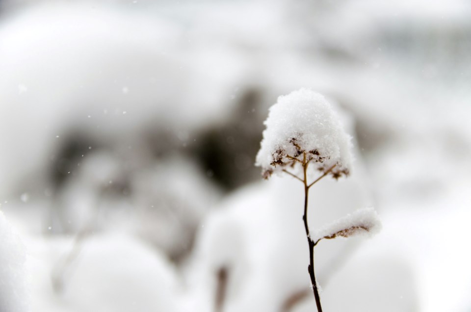 snowfall-warning-unsplash