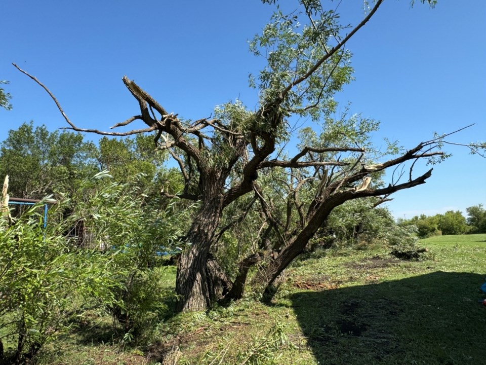 southeast-storm-damage-2024