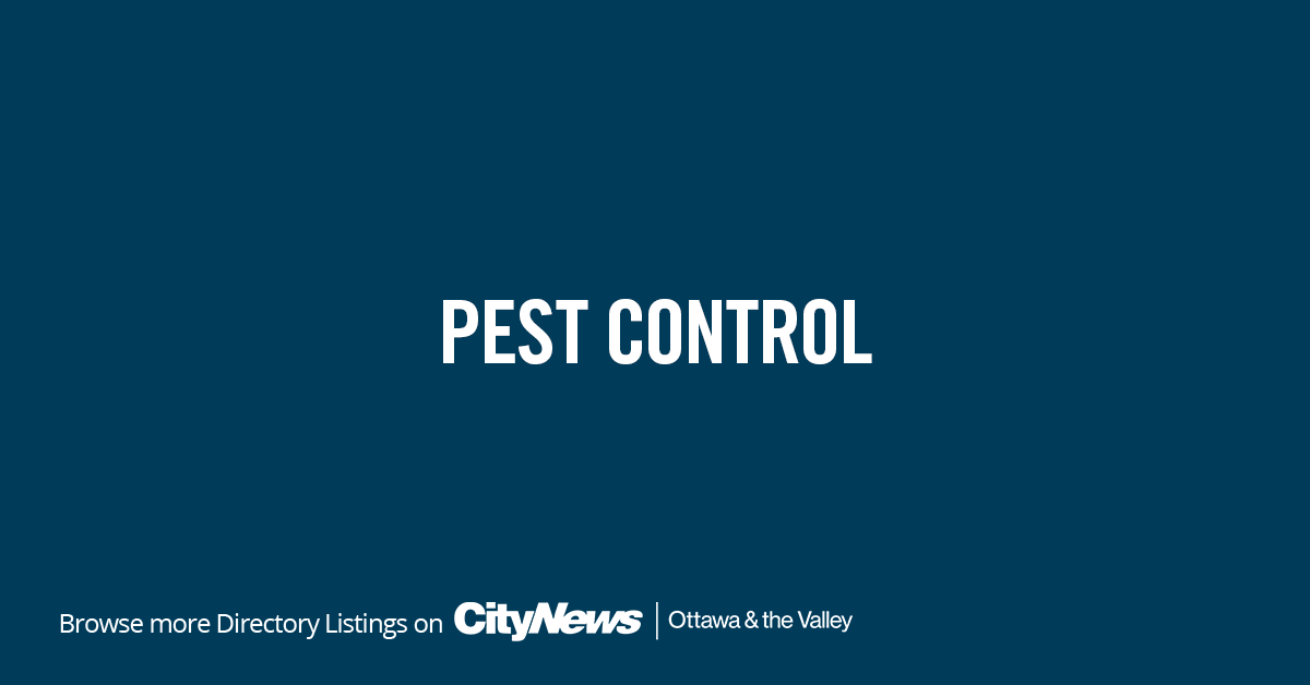 Ottawa Pest Control Service Citynews Ottawa