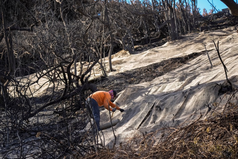 Workers secure a net to prevent mudslides over the burned side of a mansion in the Pacific Palisades neighborhood of Los Angeles, Friday, Jan. 24, 2025. (AP Photo/Damian Dovarganes)