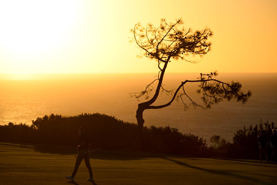 Ludvig Aberg walks on the 15th hole of the South Course at Torrey Pines during the second round of the Farmers Insurance Open golf tournament Thursday, Jan. 23, 2025, in San Diego. (AP Photo/Denis Poroy)