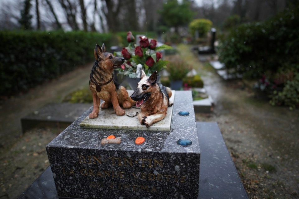 Sculptures are seen at the dog cemetery in Asnières-sur-Seine, outside Paris, Tuesday, Feb. 25, 2025. (AP Photo/Christophe Ena)