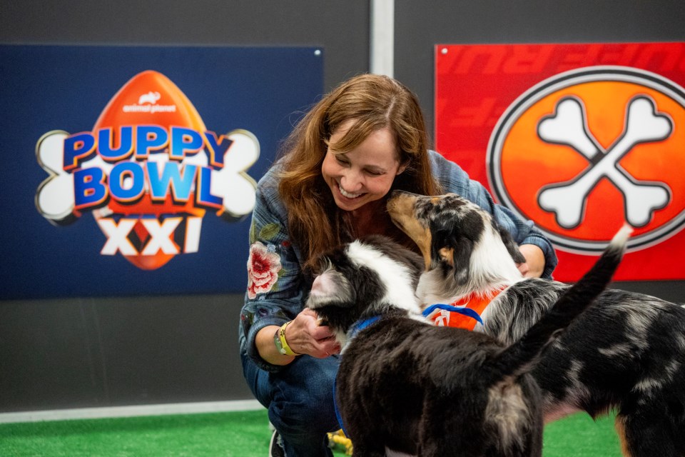 This image released by Animal Planet/Warner Bros. Discovery shows animal expert Victoria Schade interacting with dogs on the set of "Puppy Bowl XXI," airing Sunday. (Animal Planet/Warner Bros. Discovery via AP)