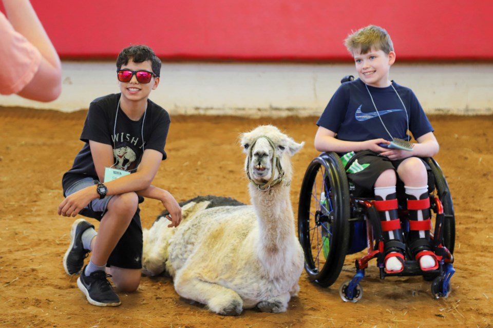 This photo provided by Victory Junction shows kids posing for a photo with llama Whitetop at Victory Junction, a camp for chronically ill children, in Randleman, N.C., in 2023. (Victory Junction via AP)