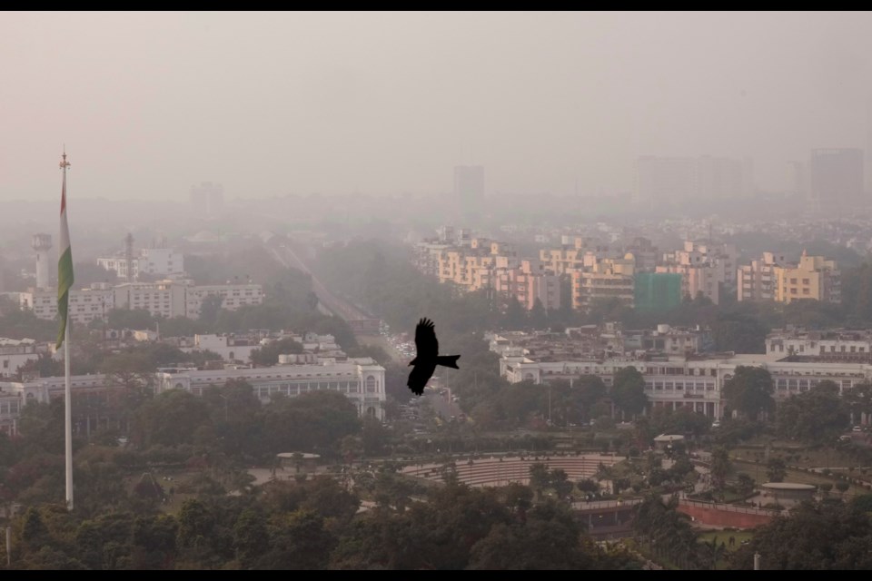 FILE - A bird flies through a thick layer of smog in New Delhi, India, Nov. 20, 2024. (AP Photo/Manish Swarup, File)