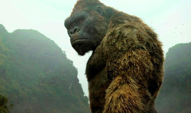 Musical of 'King Kong' to roar on Broadway next year
