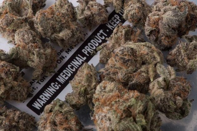 MI voters to decide in November on legalizing recreational marijuana