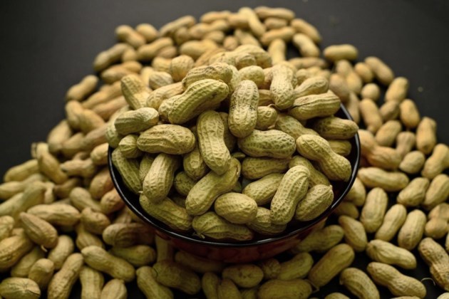 New Study Suggests Treatment >> Study Finds Peanut Allergy Treatment Safe For Allergists To Use With New Study Suggests Treatment >> Study Finds Peanut Allergy Treatment Safe For Allergists To Use With