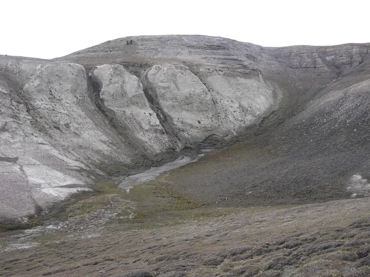 Oldest DNA reveals life in Greenland 2 мillion years ago - RMOToday.coм