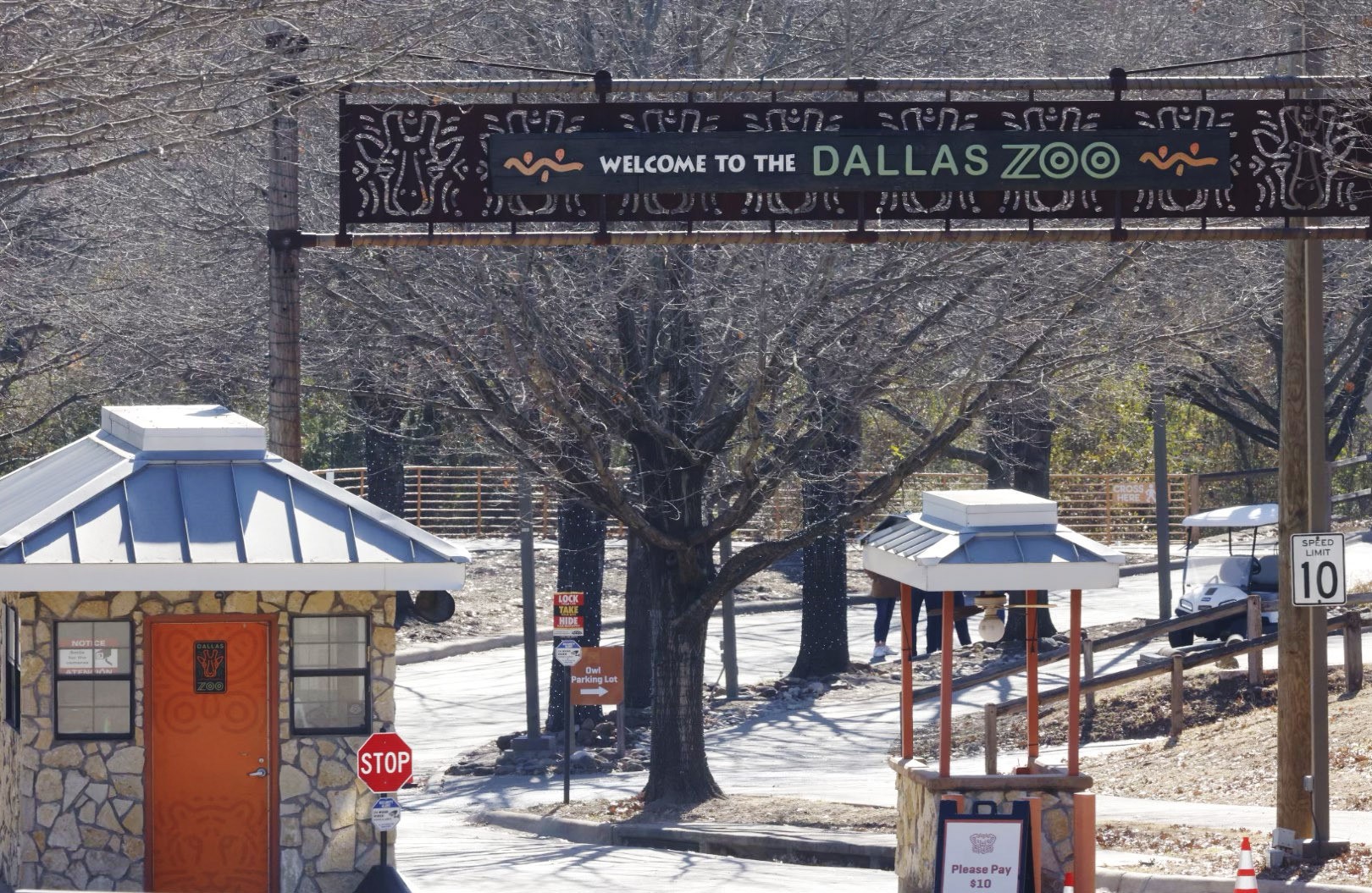 Police investigate after Dallas Zoo missing leopard is found 