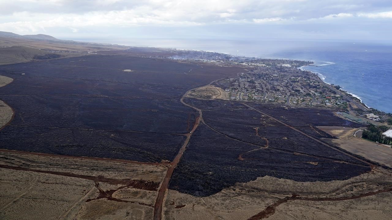 TV Anchor and Hawaii Native Recounts Destruction of the Deadly Maui  Wildfires