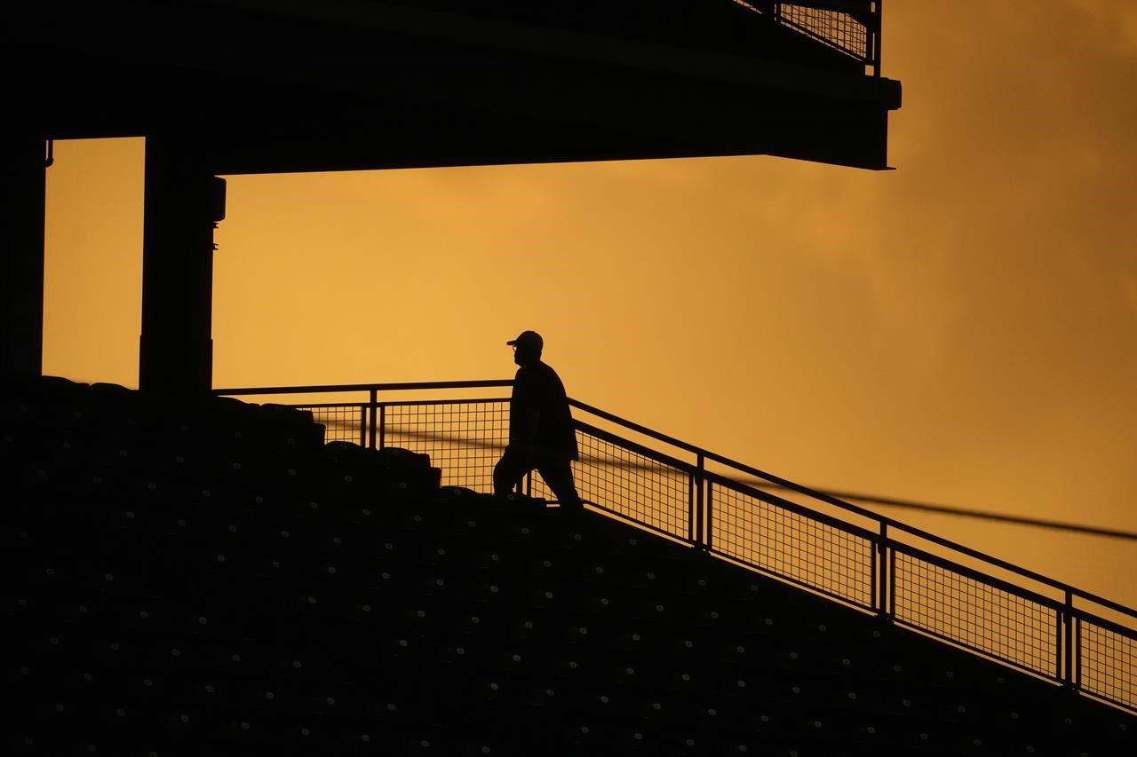 Multiple Fans Rush Field and Make Contact With Braves' Ronald