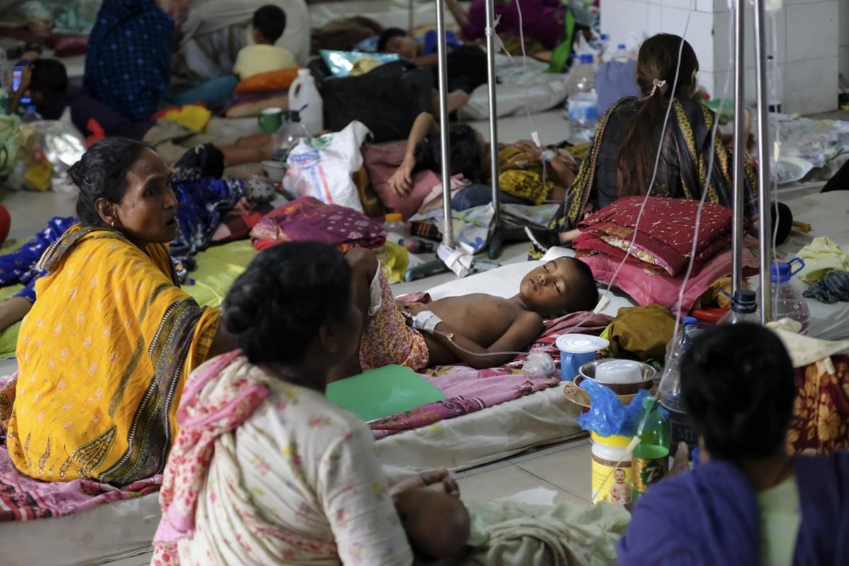 Bangladesh is struggling to cope with a record dengue outbreak in which 778  people have died - Powell River Peak