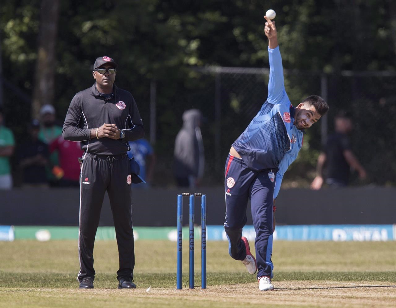 Canada cricketers defeat Bermuda to qualify for ICC T20 World Cup