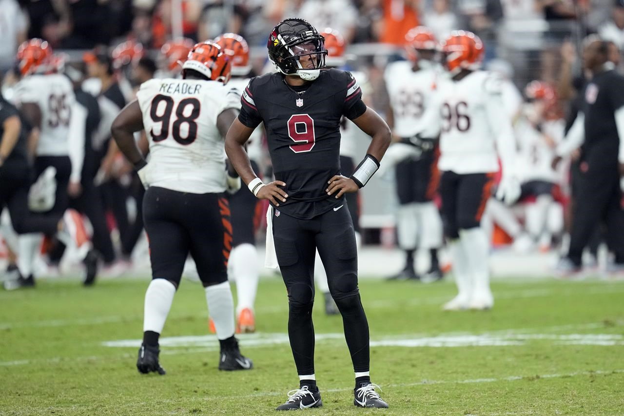 Bengals: Joe Burrow and Ja'Marr Chase hook up for jaw-dropping TD