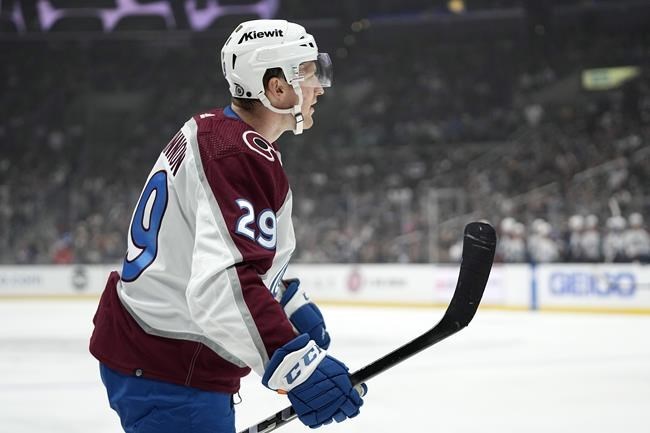 The Colorado Avalanche Need to Adopt A Puppy - Mile High Hockey