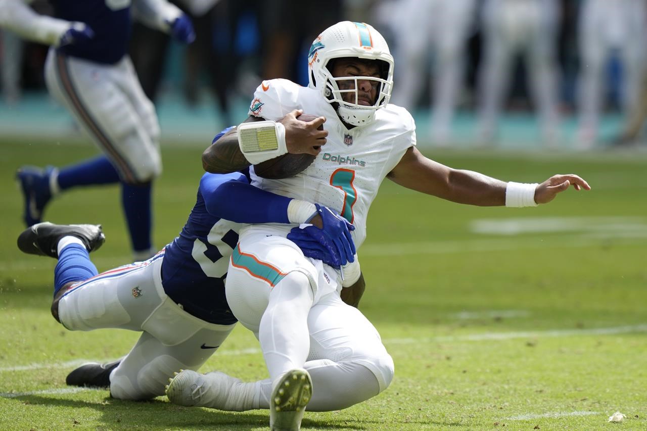 Miami Dolphins News, Latest Headlines & Updates