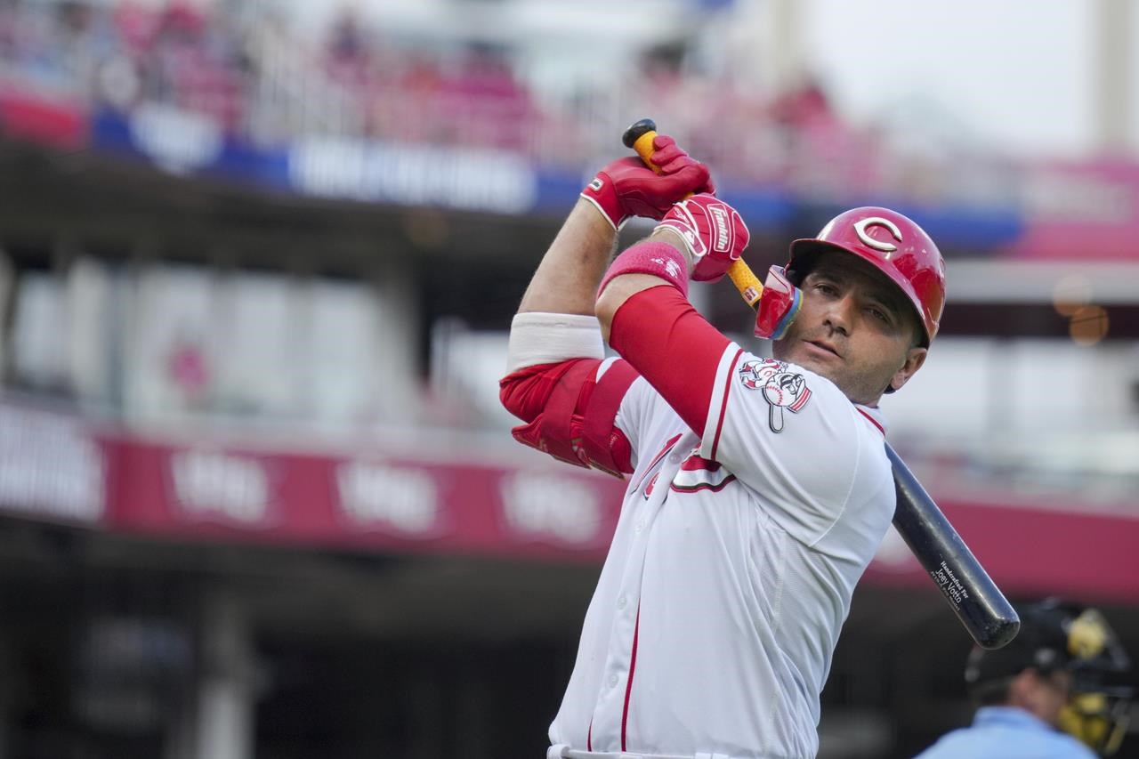 Warm reception on chilly night as Dominican Winter League teams meet in New  York, Ap-sports