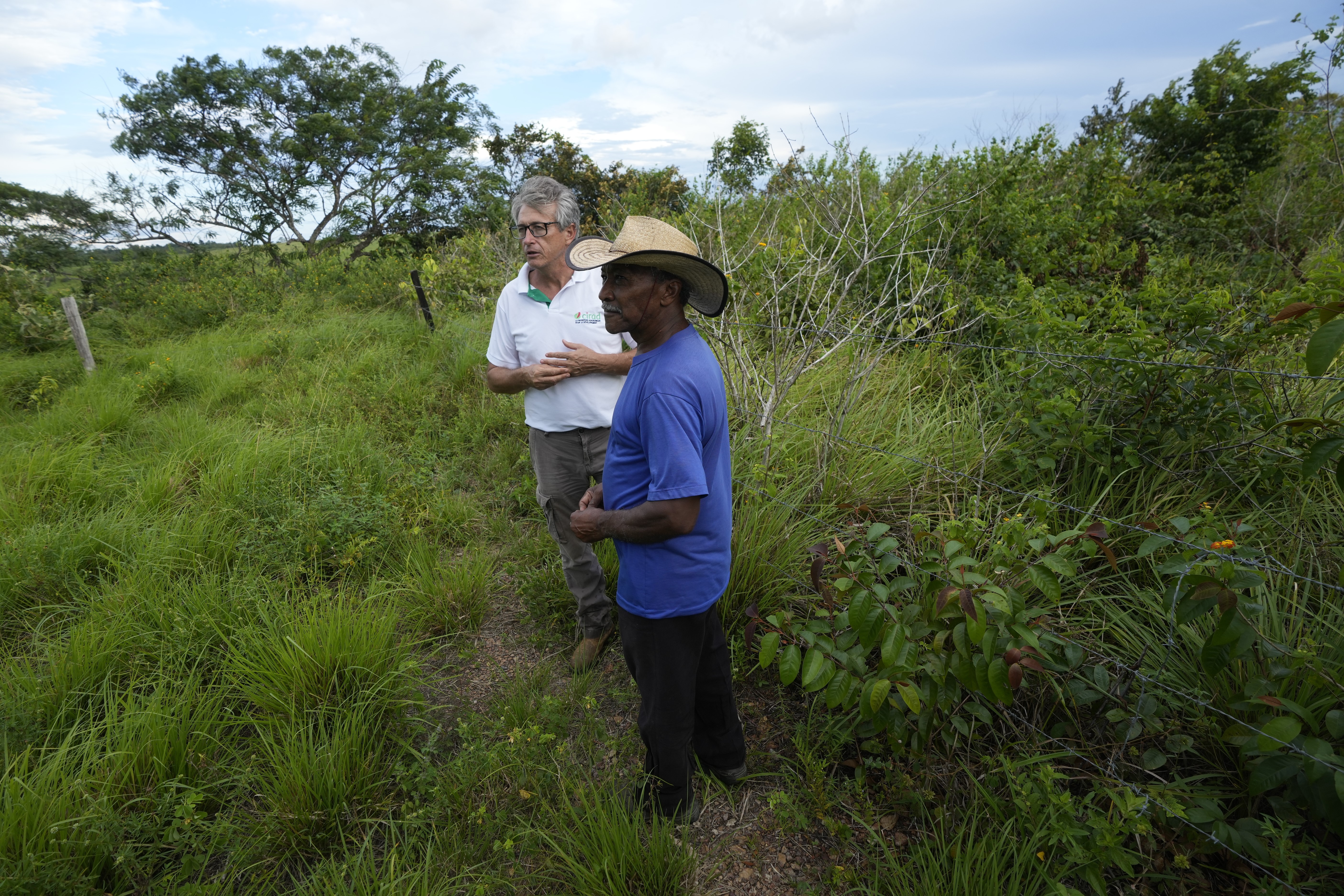 Poverty is killing the  rainforest. Treating soil and