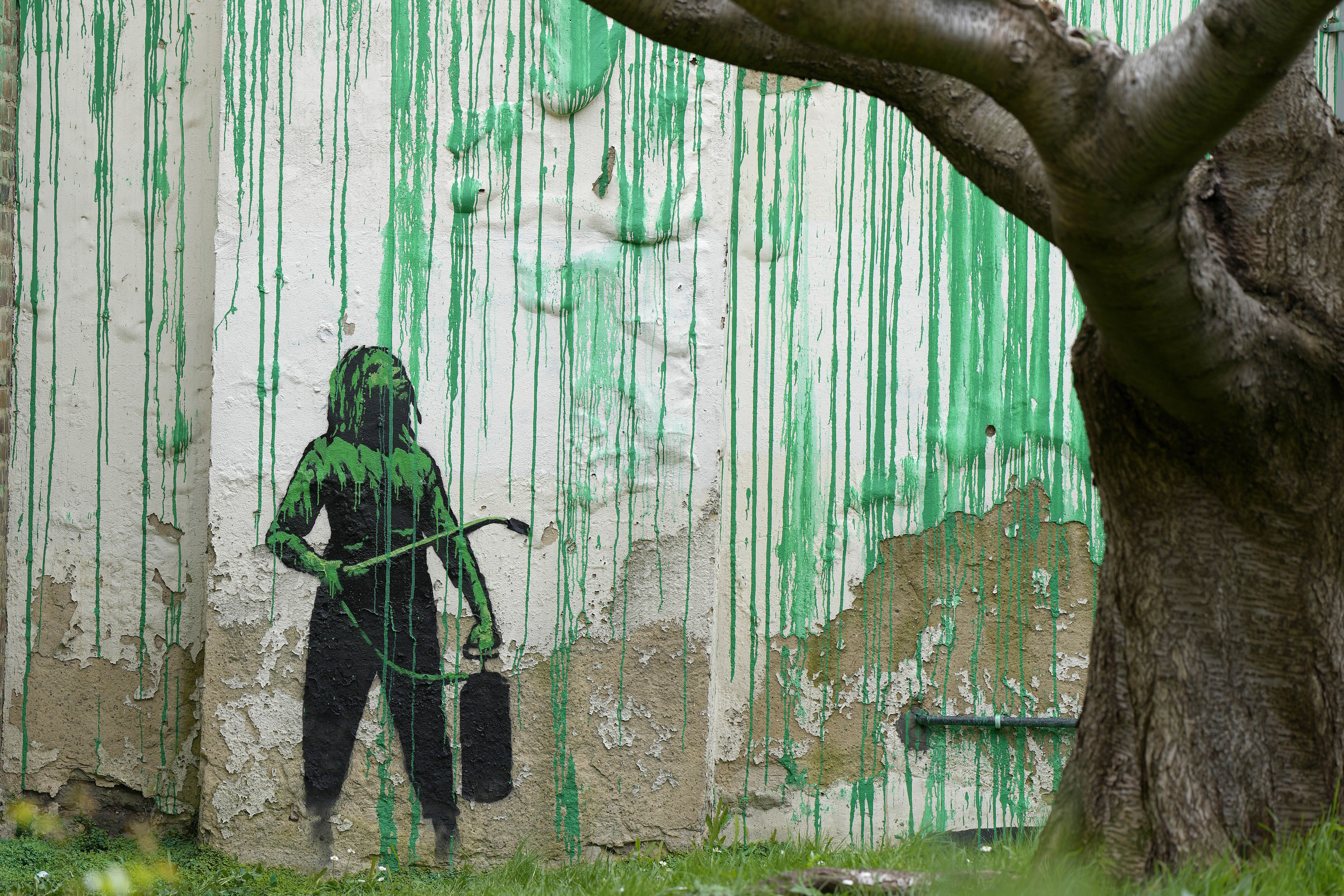 A new Banksy mural sprouts beside a cropped tree in London. Many see an  environmental message - Richmond News