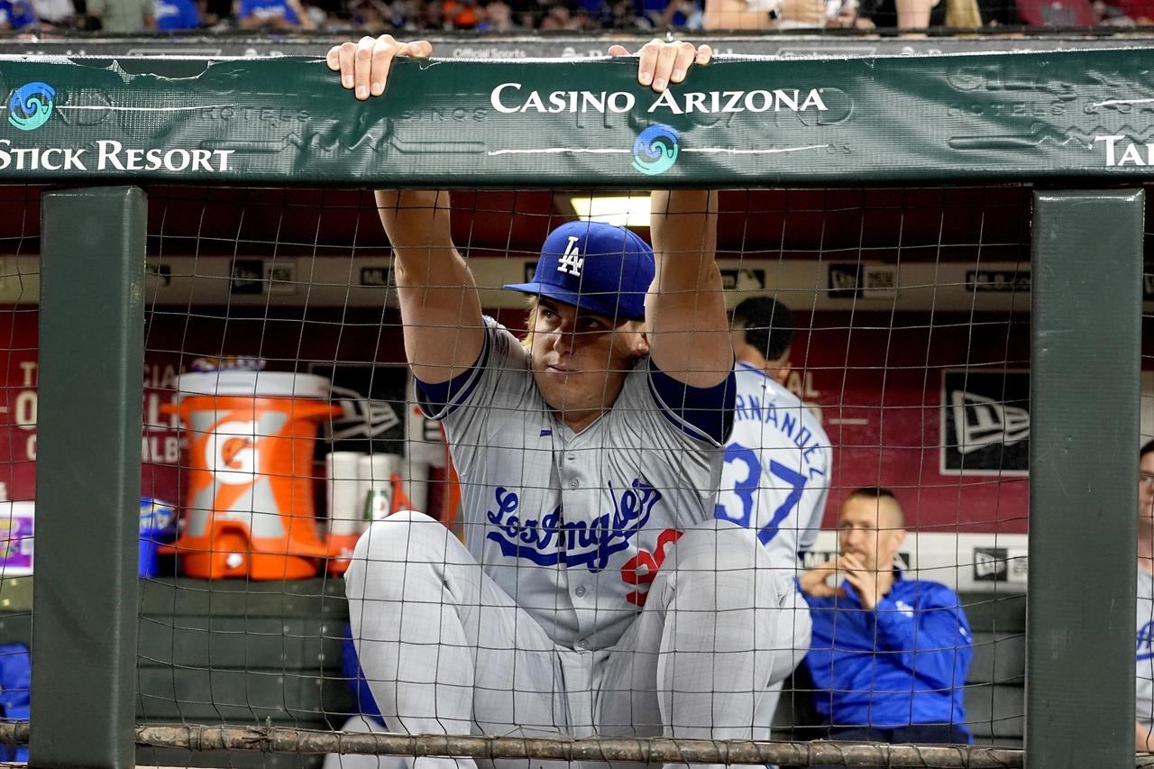 Bee Game: Dodgers and Diamondbacks delayed due to bee swarm - Virden  Empire-Advance