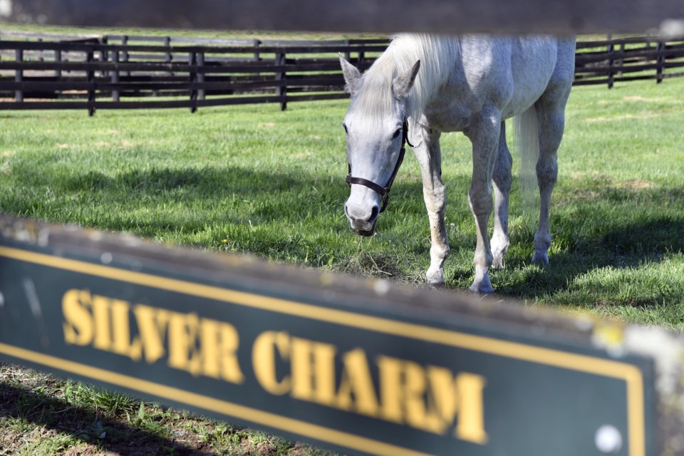 For exDerby winner Silver Charm, it's a life of leisure and Old