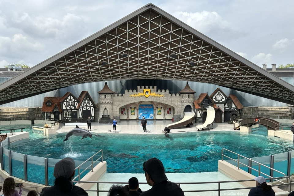 Marineland owner Marie Holer dies, park says 'succession plan' in place ...