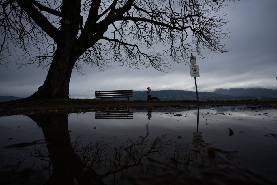 Atmospheric river system set to drench B.C.'s south coast on election