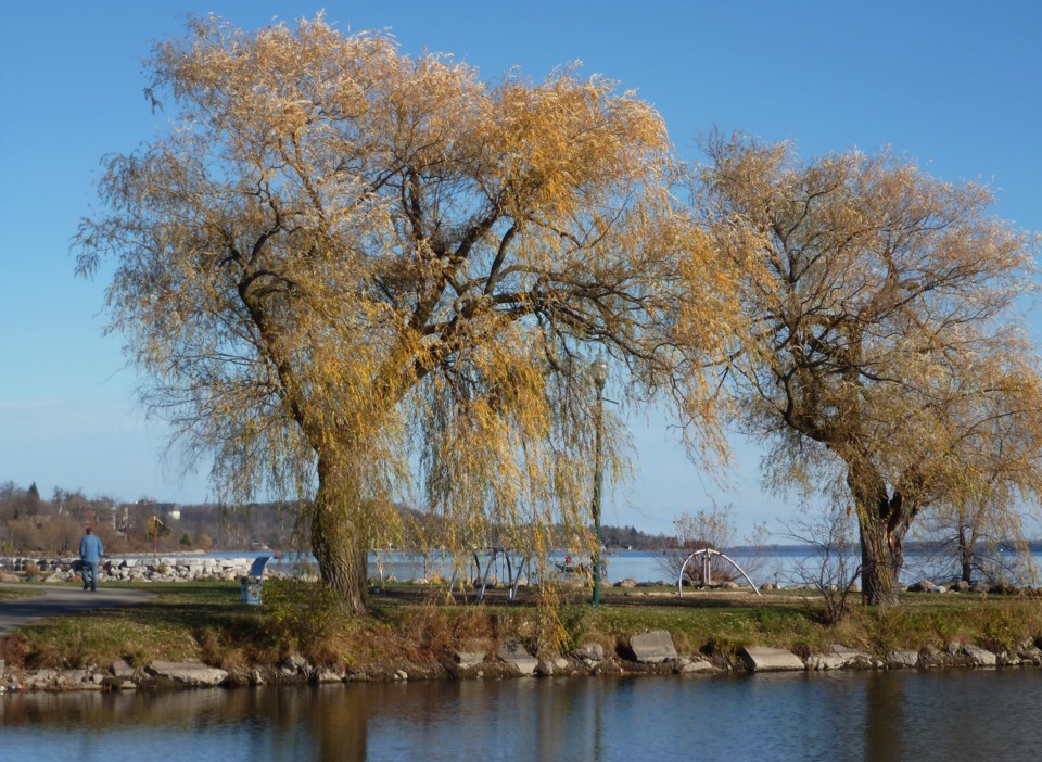 USED 2020-11-12 Kempenfelt Bay