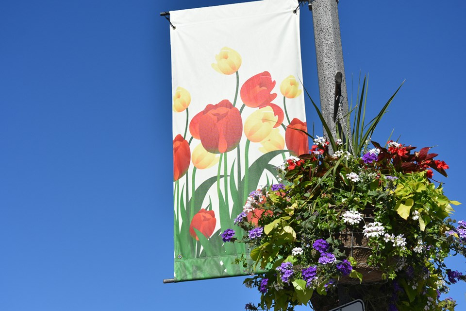 USED 06-12-2018-hanging basket