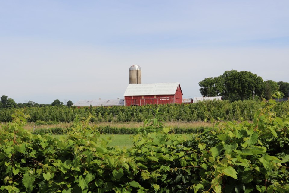 USED 2024-06-26-gm-flamborough-farm-cmsn