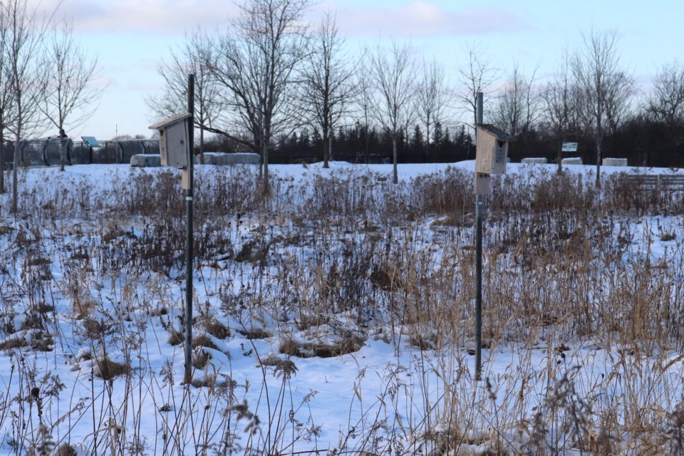 USED 2025-01-07-gm-flamborough-bird-boxes-cmsn