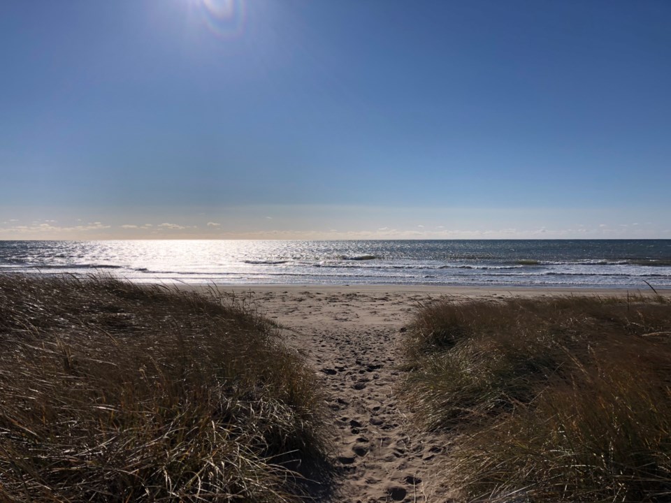 Conrads Beach closed to swimmers due to 'dangerous rip currents ...