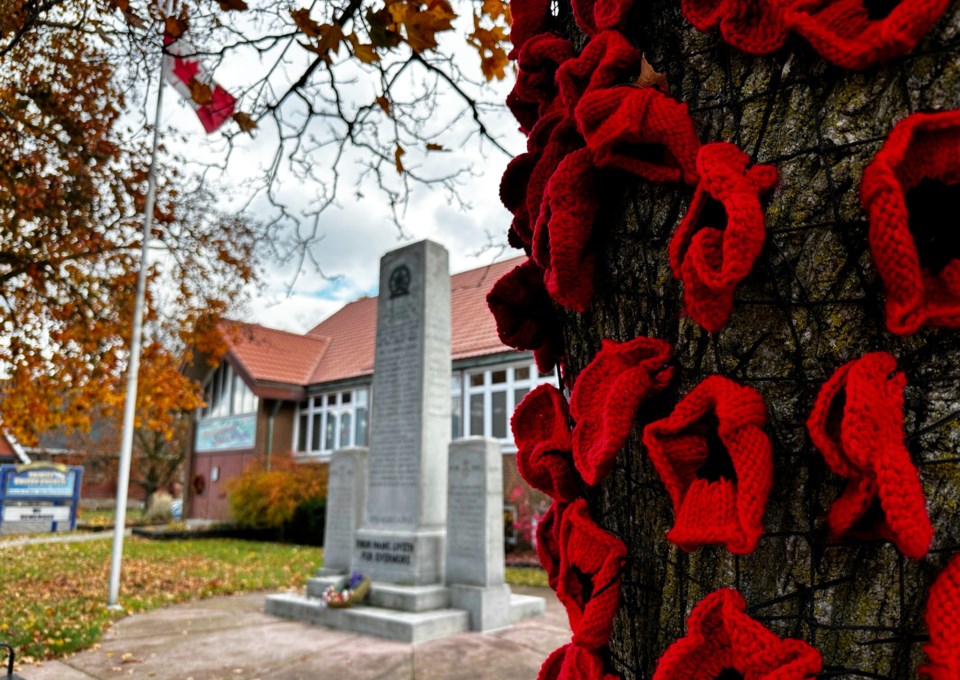 USED 20241107actoncenotaphpoppies