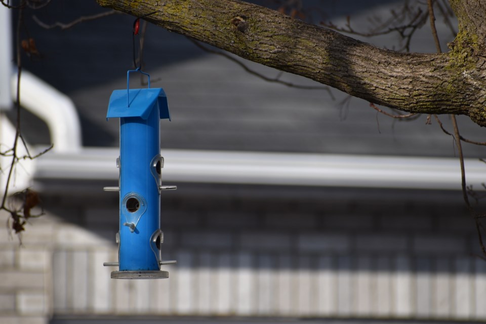 USED 2024-02-09-good-morning-bird-feeder