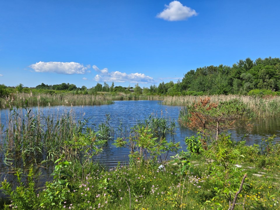 USED 2024-07-02-good-morning-innisfil-25