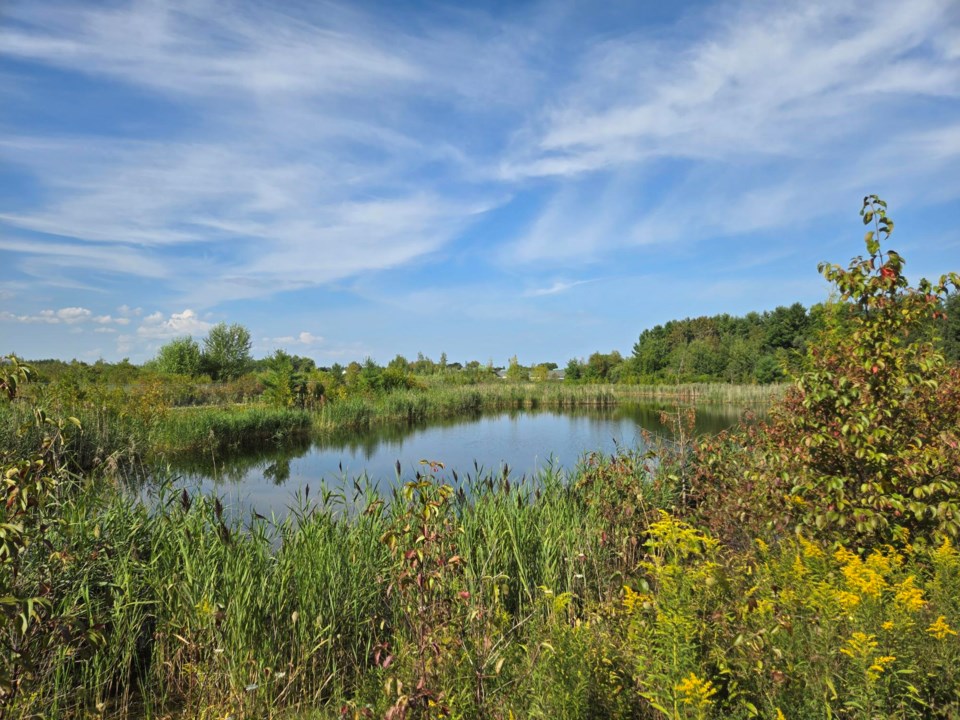 USED 2024-09-09-good-morning-innisfil-14