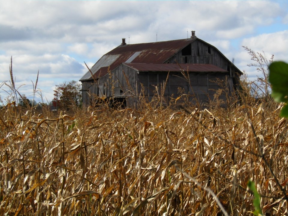 USED 2021 10 18 0016a Tiny Rail Trail