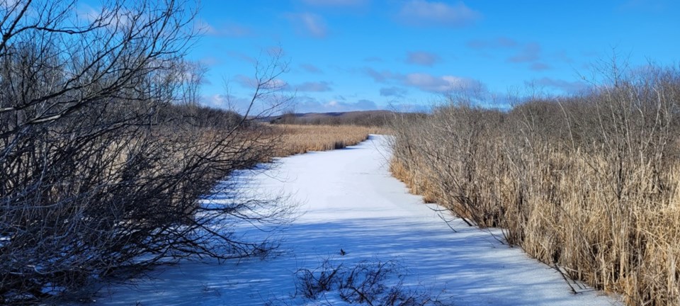 USED MAR 2024-03-04-0038-wye-marsh